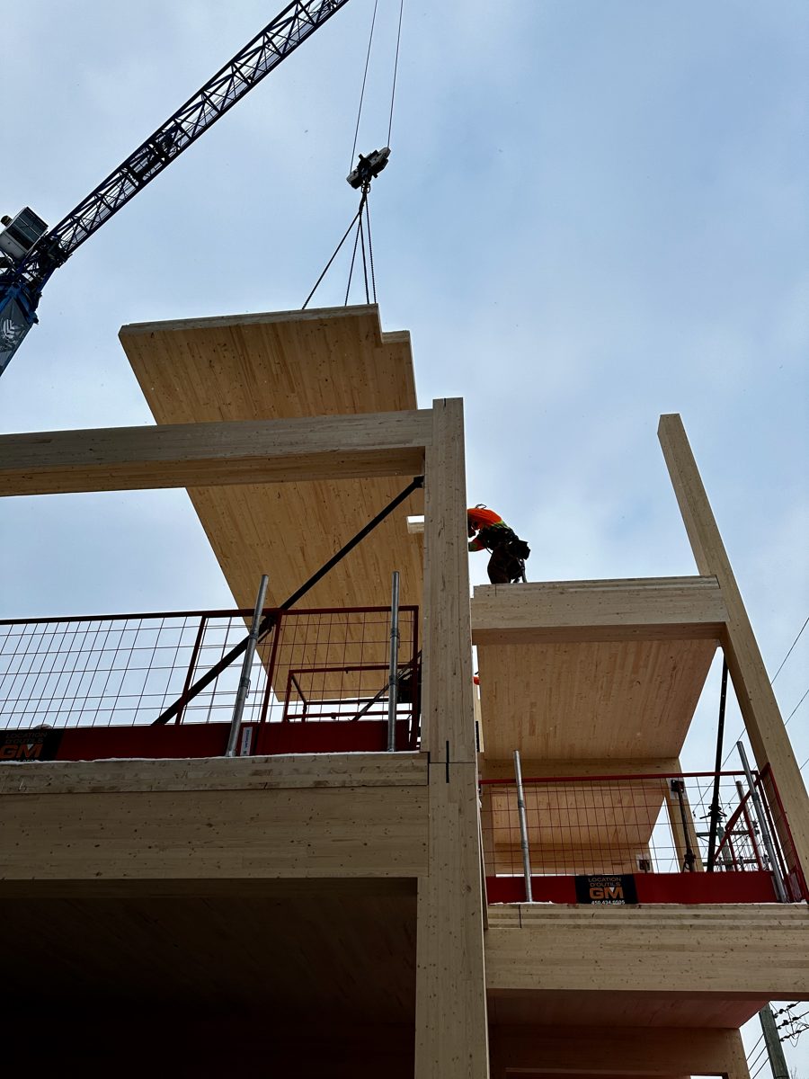 Un panneau de CLT posé à la grue